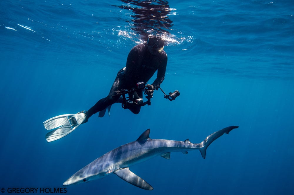 Steve Arman with the Chicago Surfrider Chapter scuba diving with a shark